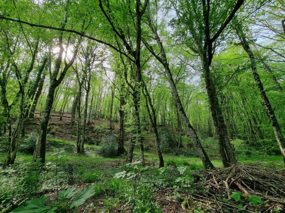 Le Domaine Du Cerf - Gites, Nature Et Spa Saint-Ouen-les-Vignes Kültér fotó
