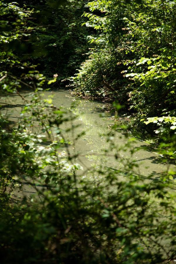 Le Domaine Du Cerf - Gites, Nature Et Spa Saint-Ouen-les-Vignes Kültér fotó