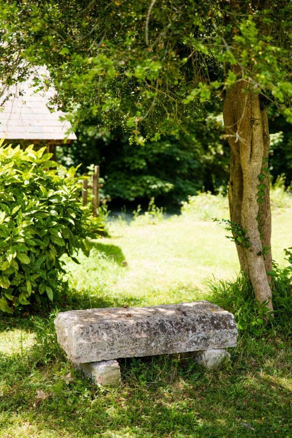 Le Domaine Du Cerf - Gites, Nature Et Spa Saint-Ouen-les-Vignes Kültér fotó